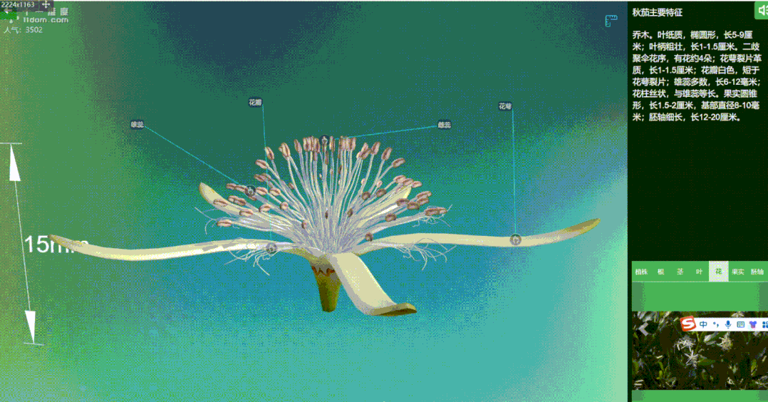 3.gif