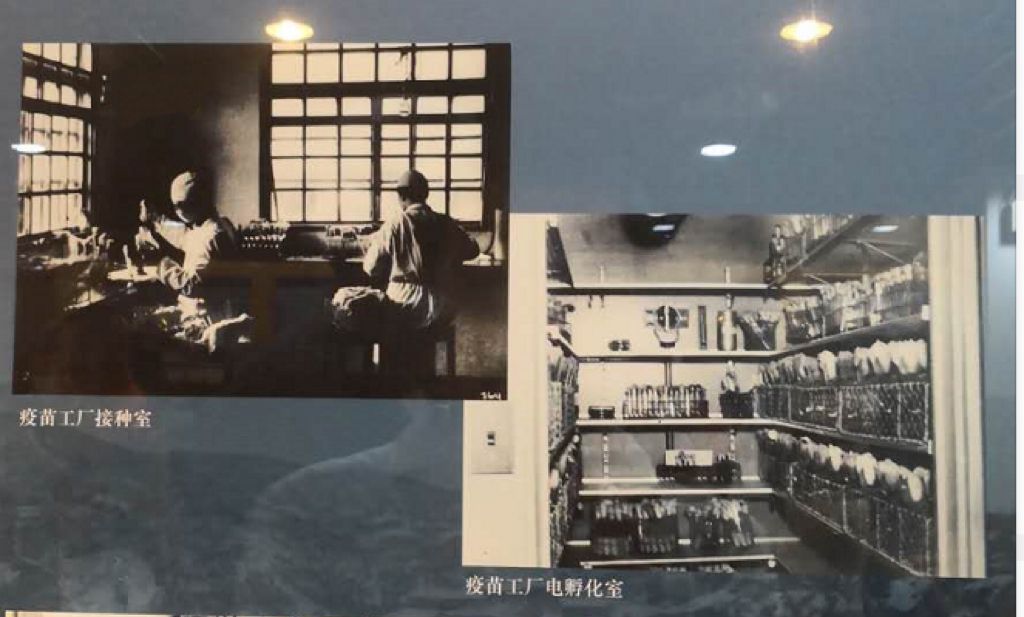 图片5.jpg