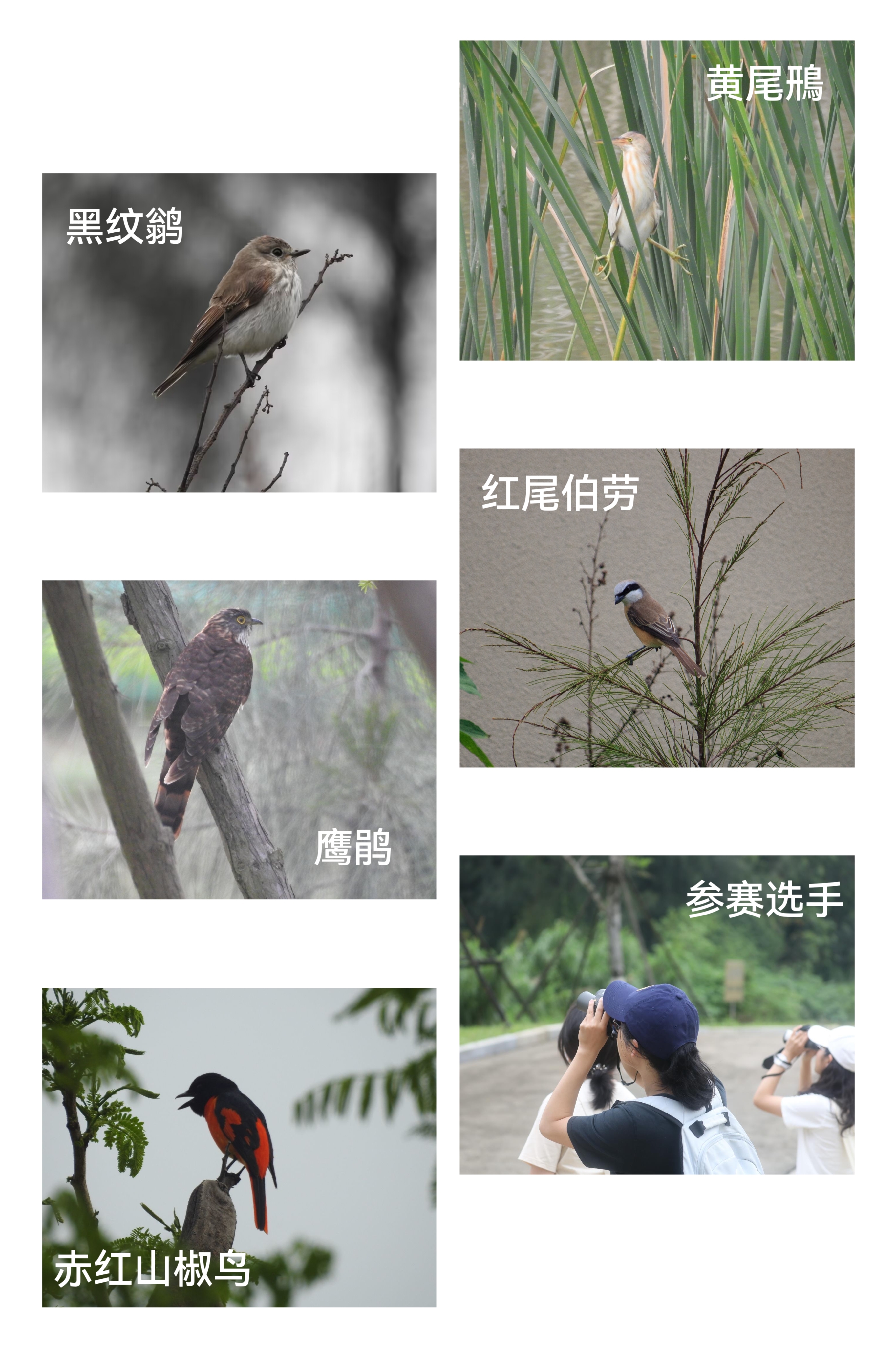 微信图片_20230601165417.jpg
