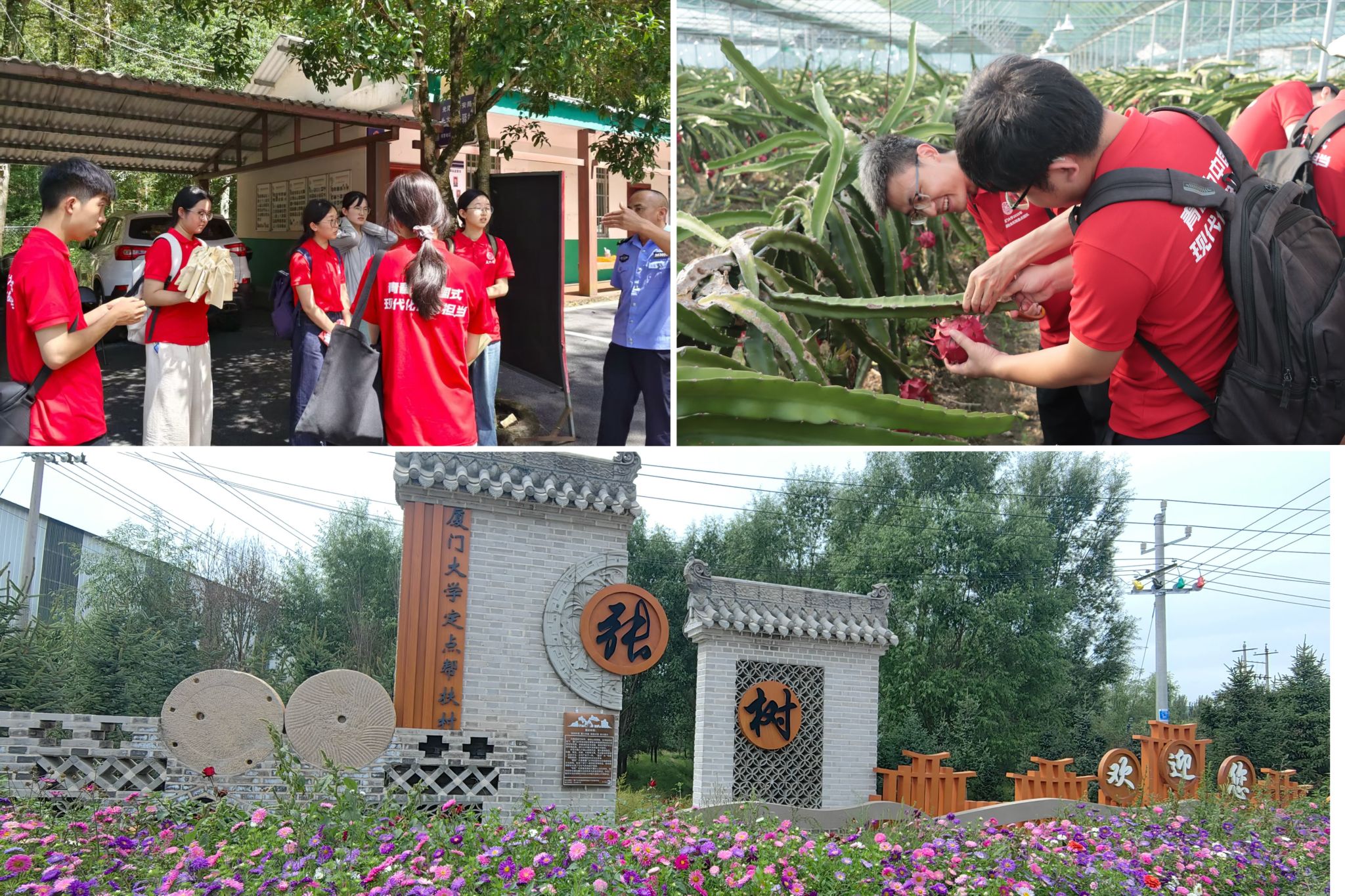 535f1d451ebbcf57d881c12b463106b1