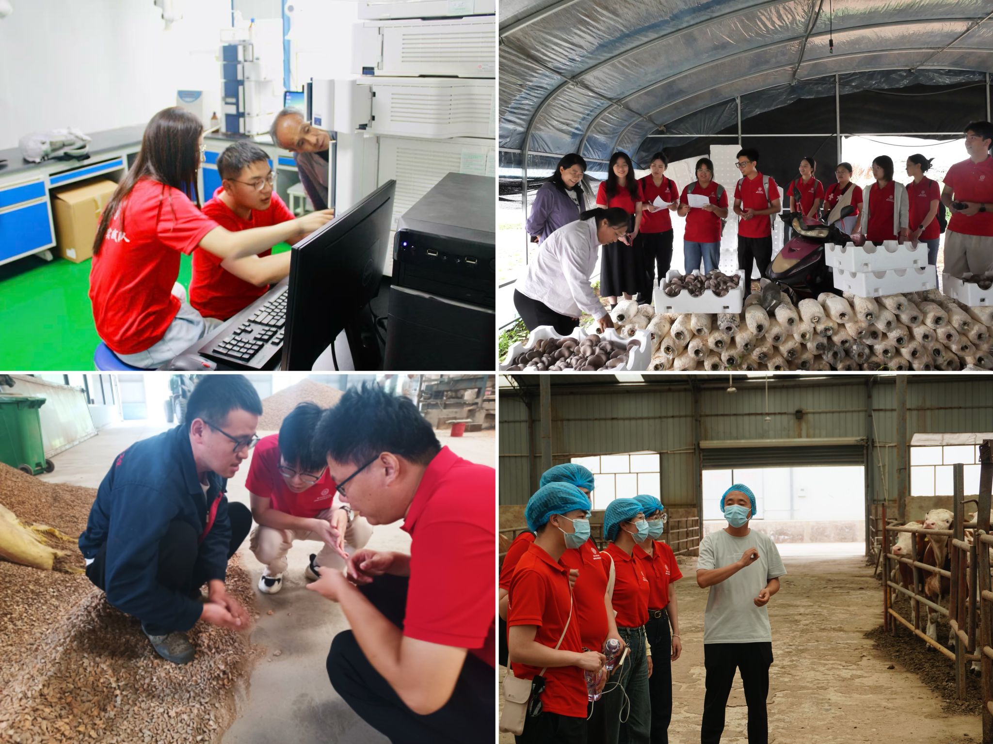 67b0e6b7af51635cafc8a7b5894f9fc1