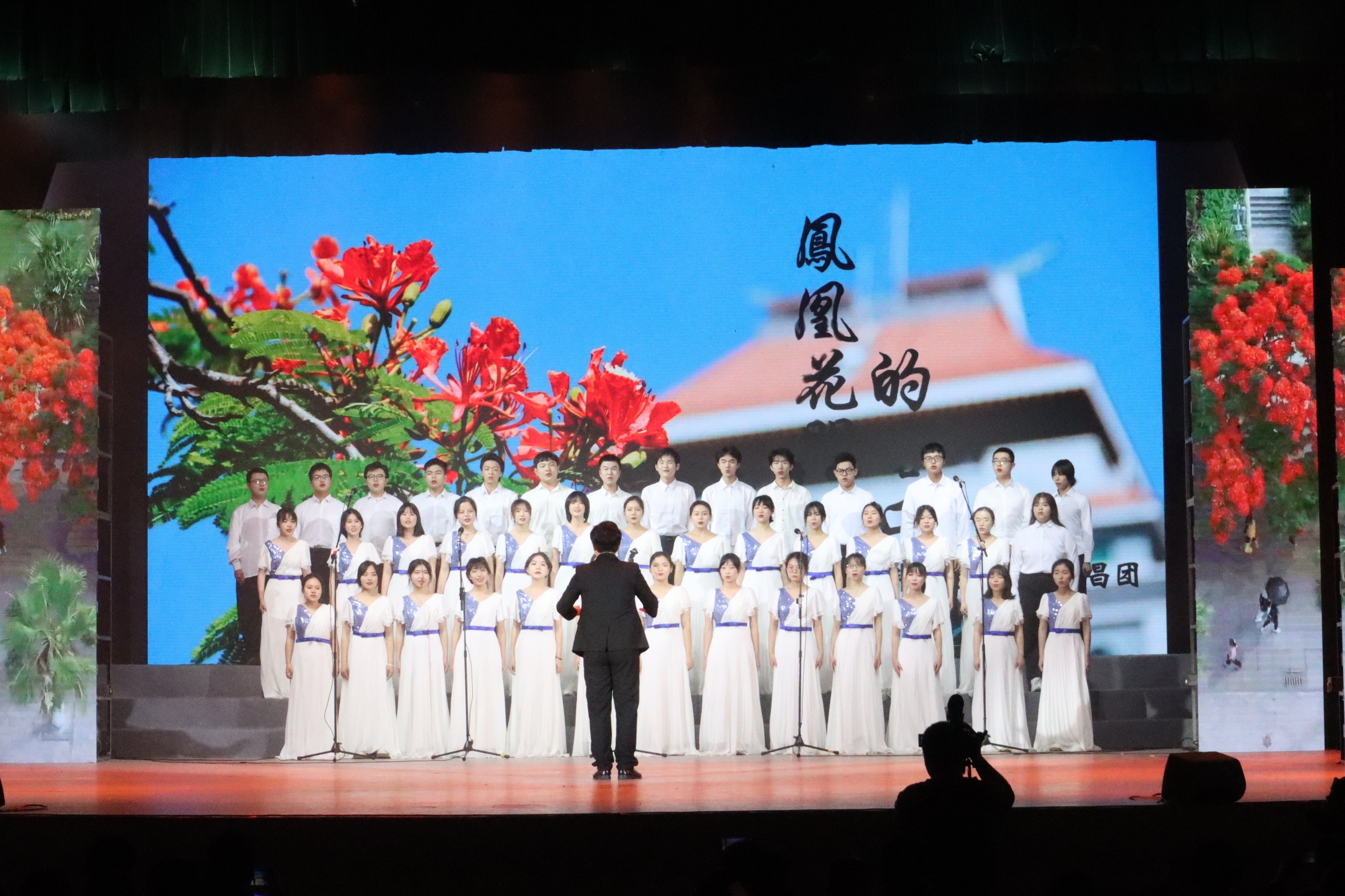 1.凤凰花开的路口4.jpg